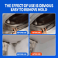 📢📢 50% OFF🧽Erase Mould Instantly! Long-Lasting Prevention Spray