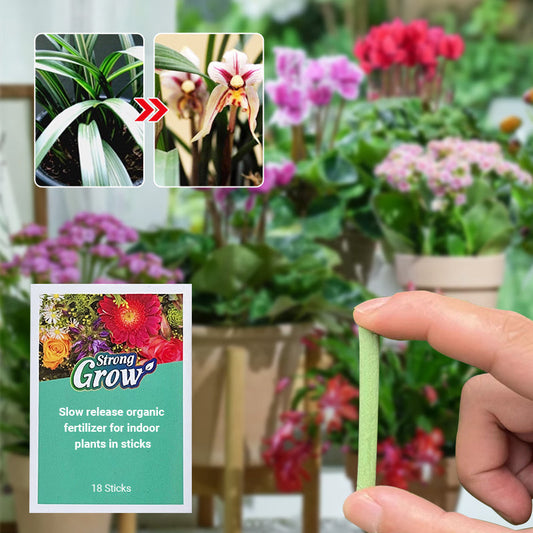 💥Last Day Promotion 50%OFF💥Slow-Release Organic Fertilizer In Stick Form For Indoor Plants（BUY 5 GET 10 FREE）