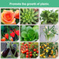 💥Last Day Promotion 50%OFF💥Slow-Release Organic Fertilizer In Stick Form For Indoor Plants（BUY 5 GET 10 FREE）
