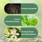💥Last Day Promotion 50%OFF💥Slow-Release Organic Fertilizer In Stick Form For Indoor Plants（BUY 5 GET 10 FREE）