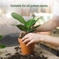 💥Last Day Promotion 50%OFF💥Slow-Release Organic Fertilizer In Stick Form For Indoor Plants（BUY 5 GET 10 FREE）