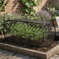⏳Limited-time 50% off⏰Pop-Up Plant Protection Mesh Cover🌱🛡️