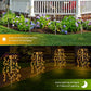 🌞Solar Garden Lights Outdoor Decor – Waterproof, Cordless & Glowing for Beautiful Night Ambiance 🌙🌿