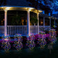 🌞Solar Garden Lights Outdoor Decor – Waterproof, Cordless & Glowing for Beautiful Night Ambiance 🌙🌿