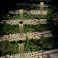🌞 Solar Garden Stake Light ✅ Hollow-Carved Pattern & Auto On/Off | Elegant Outdoor Glow ✨
