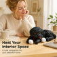 📢📢50% OFF !!⏰Cute Squishy Teddy Dog Stress Relief Toy