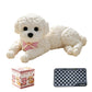 📢📢50% OFF !!⏰Cute Squishy Teddy Dog Stress Relief Toy