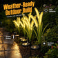 📢📢50% OFF !! ⏰Solar Foxtail Grass Decorative Garden Lights