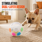 ⚽ 50% OFF – Tough Dog Soccer Ball with Grab Tabs