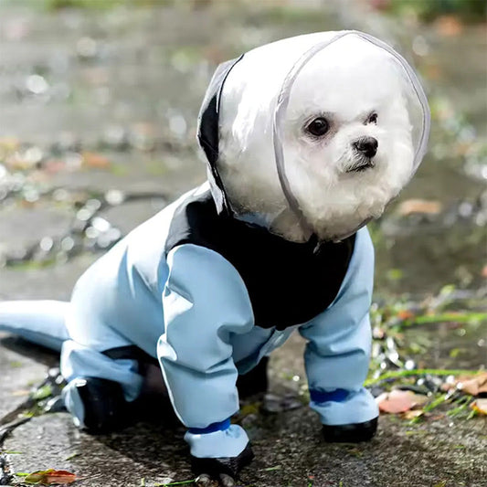 📢📢 50% OFF☔Cute Full-Coverage Pet Raincoat with Hood & Mask – Waterproof Protection