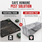 📢📢 50% OFF🏠Humane Rat Trap Cage – Galvanized Steel Double-Entry Live Catch Mouse Trap