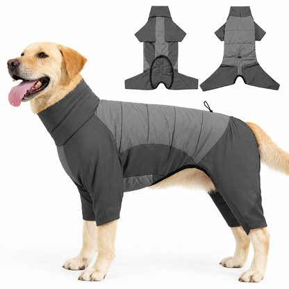 📢📢 50% OFF🐾Waterproof Winter Dog Coat – Warm Padded Full-Body Jumpsuit with Adjustable High Collar