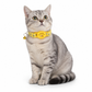 📢📢 50% OFF! Reflective Cat Collar – Built-In Tracker Holder & Breakaway Buckle 🐱