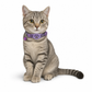 📢📢 50% OFF! Reflective Cat Collar – Built-In Tracker Holder & Breakaway Buckle 🐱