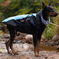 📢📢 50% OFF🐶Waterproof Warm Dog Vest – Cozy, Weather-Resistant Protection for Cold & Rainy Days
